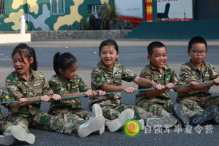动力圈