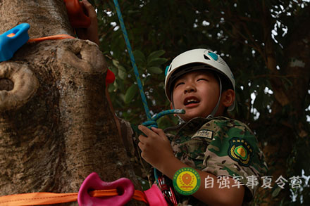 巨树攀登