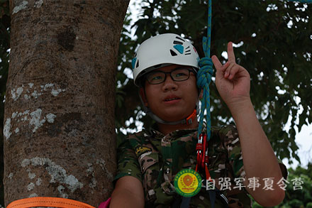 巨树攀登