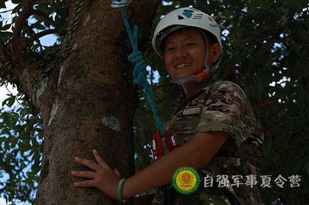巨树攀登