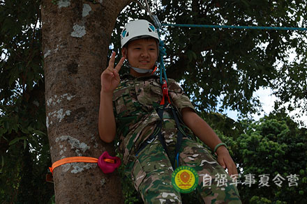 巨树攀登